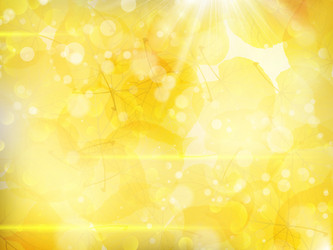 Similar image 11850627