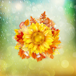 Similar image 11850648