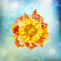 Similar image 11850649