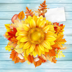 Similar image 11850650