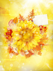 Similar image 11850652