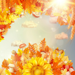 Similar image 11850272