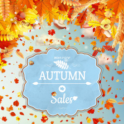 Similar image 11850292