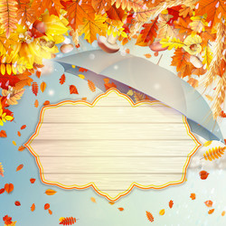 Similar image 11850295