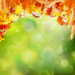 Similar image 11850299