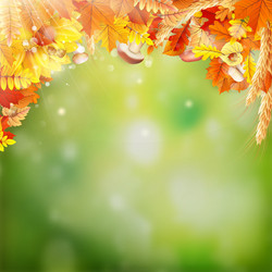 Similar image 11850331