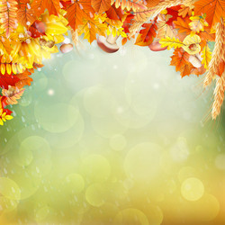 Similar image 11850333