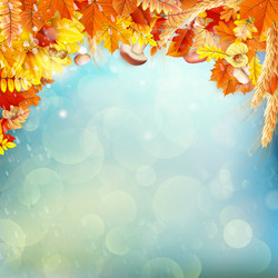 Similar image 11850334