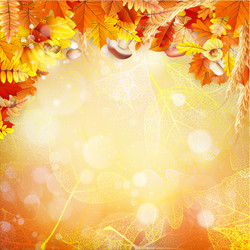 Similar image 11850368