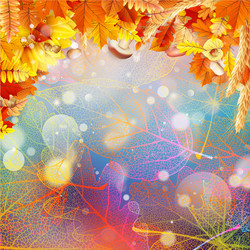 Similar image 11850387