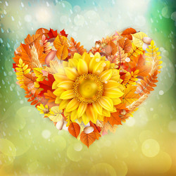 Similar image 11850393