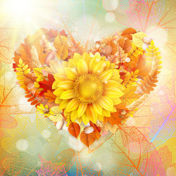 Similar image 11850350