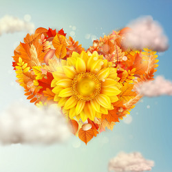 Similar image 11850355