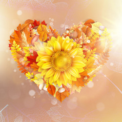 Similar image 11850357