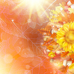 Similar image 11850314