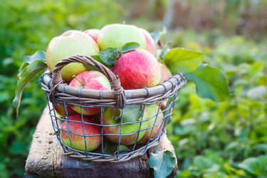 Similar image 11858917