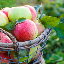 Similar image 11859031