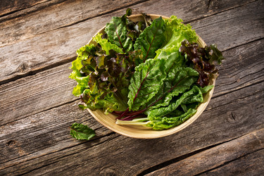 Similar image 11859070