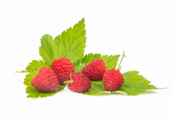 Similar image 11872151