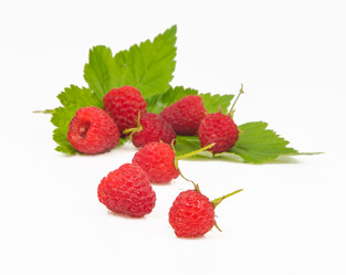 Similar image 11872152