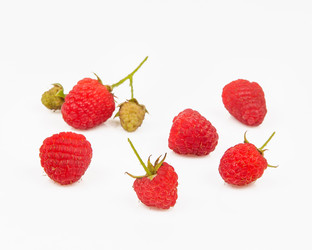 Similar image 11872154