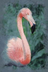 Similar image 11841224