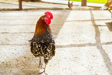 Similar image 11840633