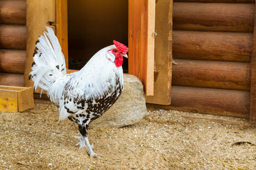 Similar image 11840635