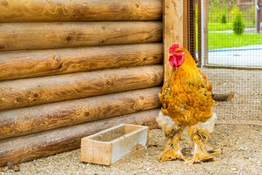 Similar image 11840638