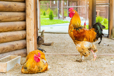 Similar image 11840639