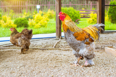 Similar image 11840640