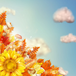 Similar image 11850512