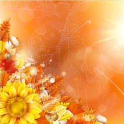 Similar image 11850531