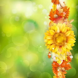 Similar image 11850535