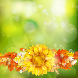 Similar image 11850536