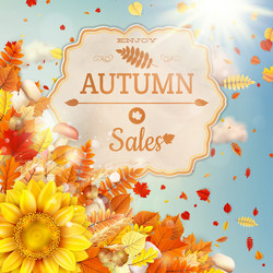 Similar image 11850550