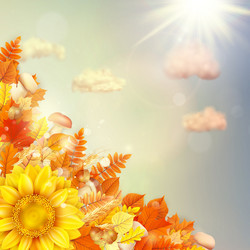 Similar image 11850551