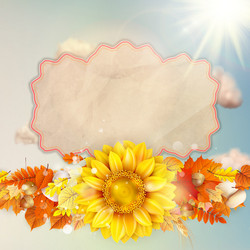 Similar image 11850555