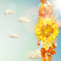 Similar image 11850557