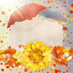 Similar image 11850558