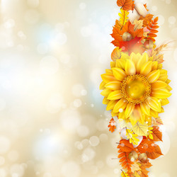 Similar image 11850578