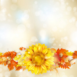 Similar image 11850579