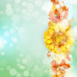 Similar image 11850580