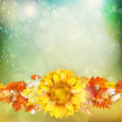 Similar image 11850581