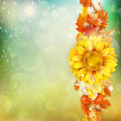 Similar image 11850582