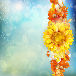 Similar image 11850592