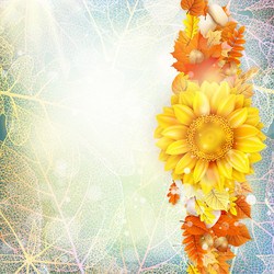 Similar image 11850597