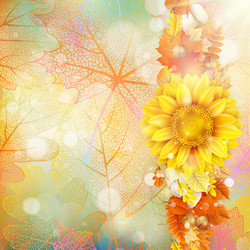 Similar image 11850609