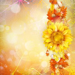 Similar image 11850610