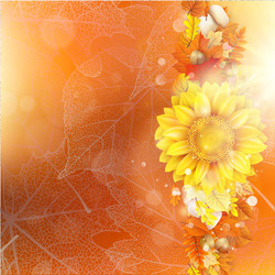 Similar image 11850611